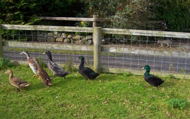 Valleylodge Farm Hostel