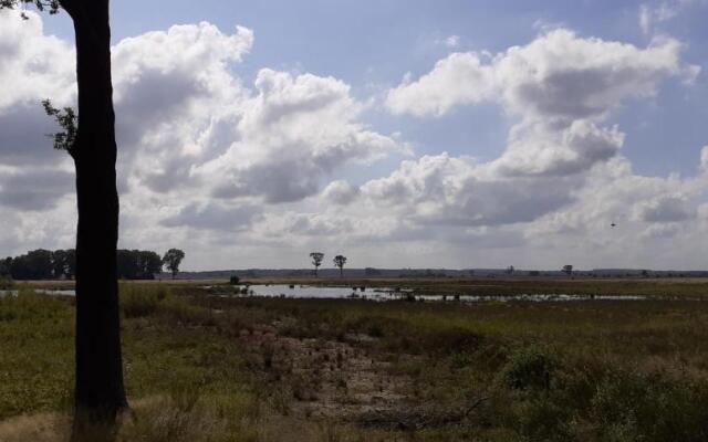 Drentse bungalow in natuur en rust