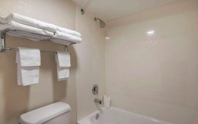 Quality Inn Saint Petersburg North-Tampa Bay