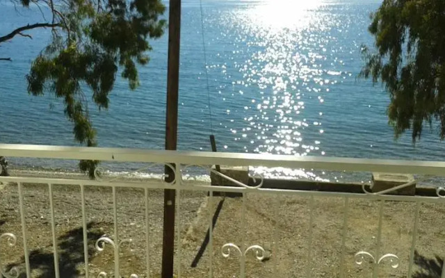Beach House