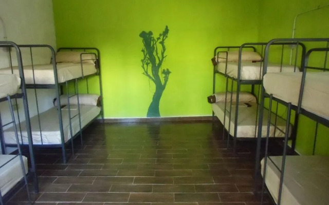 Hakuna Matata Hostel