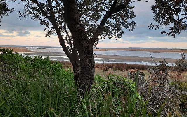 Paradise by the Beach