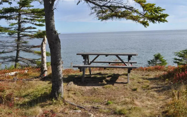 The Dancing Moose Cafe