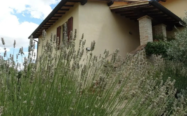 Agriturismo Il Cerreto