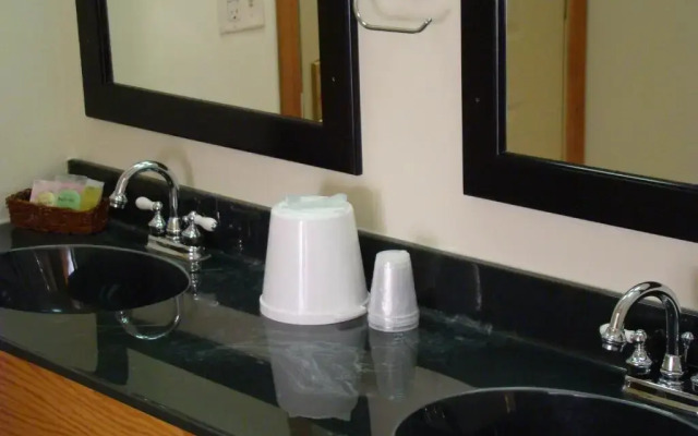 Roosevelt Inn Mount Rushmore