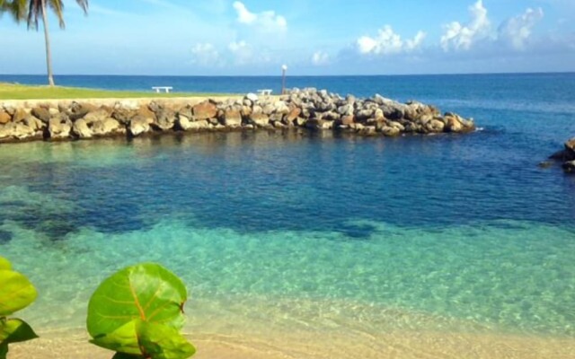 Coconuts Seafront 2BR, Ocho Rios