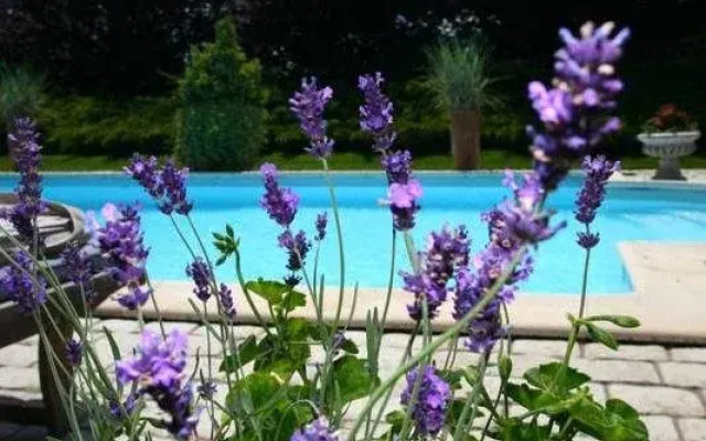 Domaine de la Blonnerie