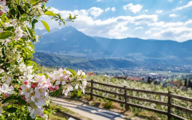 FAYN garden retreat hotel