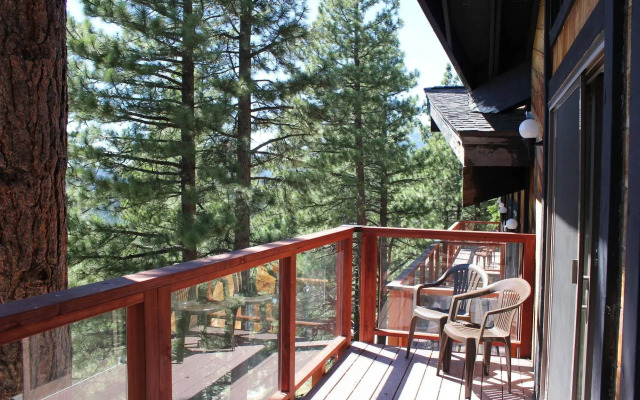 Tahoe Chaparral