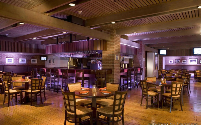 Doral Arrowwood