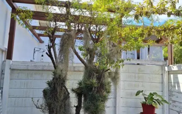 Yaka