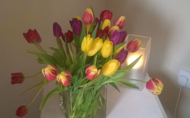 Rosebank Bed & Breakfast