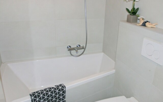 Kegelrobbe Norden in Norden