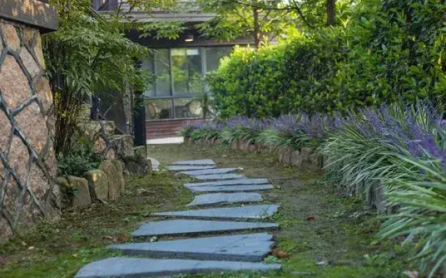 Yunqiju · Moganshan Guesthouse (Firefly Base)