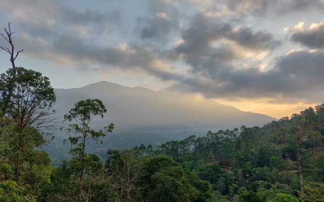 The New Munnar Summer Castle