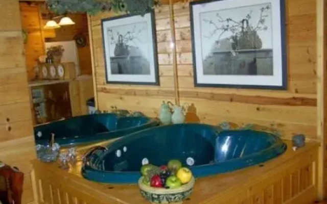 Mountain Shadow Resort