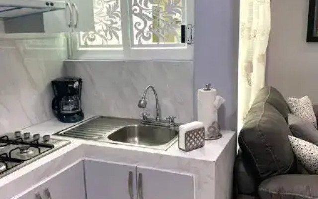 Private Penthouse / Penthouse Privado