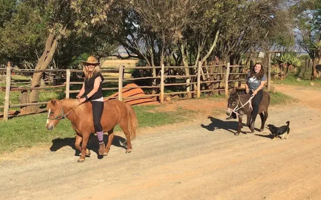 Lydenrust Guest Farm