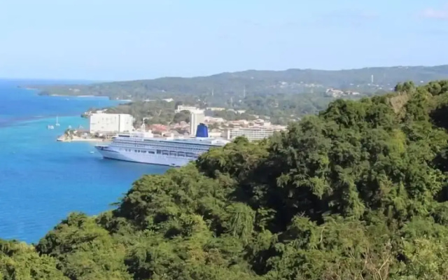 Relaxing Stay - Richmond Estate - 15mins Ocho Rios