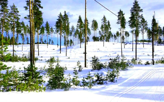 Furudals vandrarhem och camping - Hostel