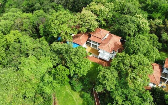 The Postcard Velha