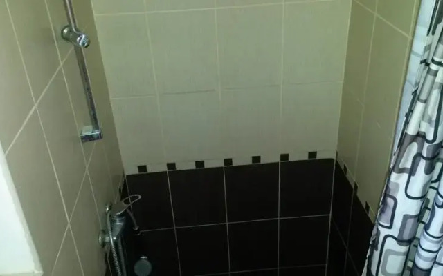 Pensiunea Adi Sapinta