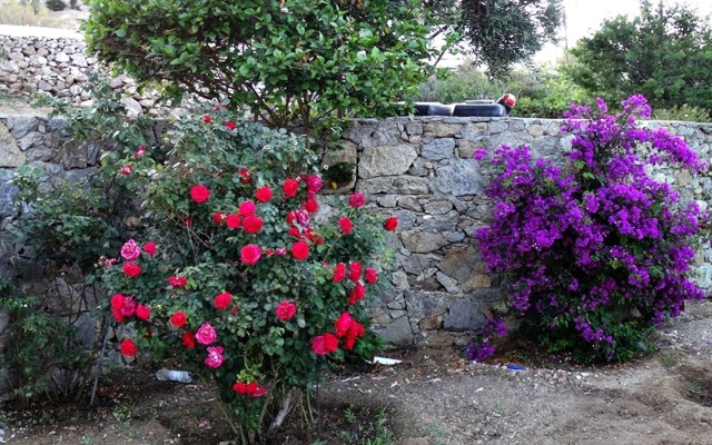 Mykonian Breeze