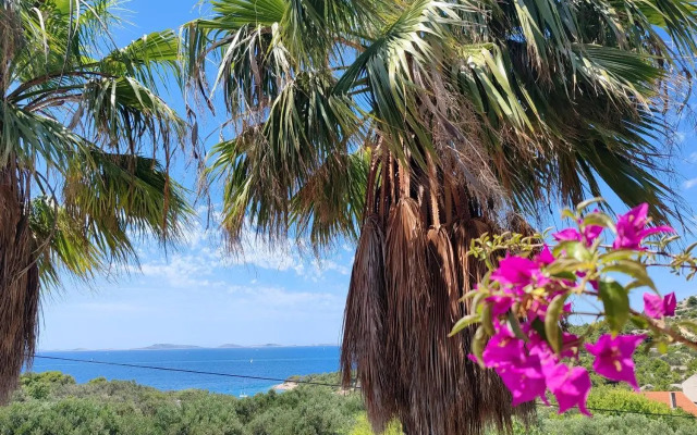 House Arta, 3 bedroom apartment