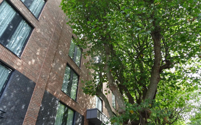 Modern One Bedroom Flat in Dublin