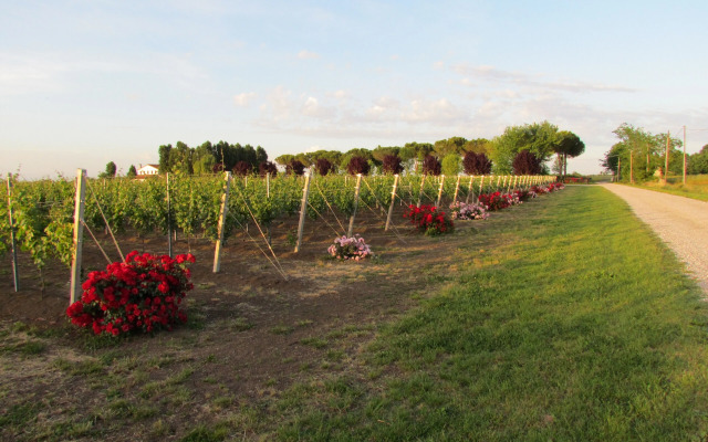Agriturismo Le Cipressine