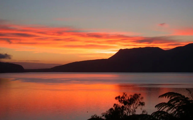 te Whare -Lake Tarawera tree-top nest