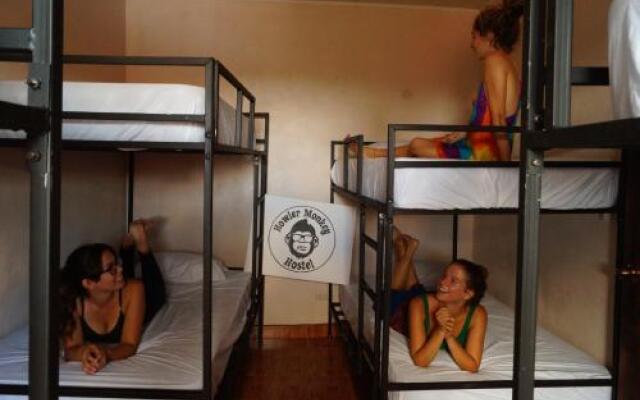 Howler Monkey Hostel DownTown