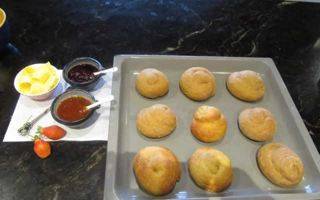 Redwood Valley B & B