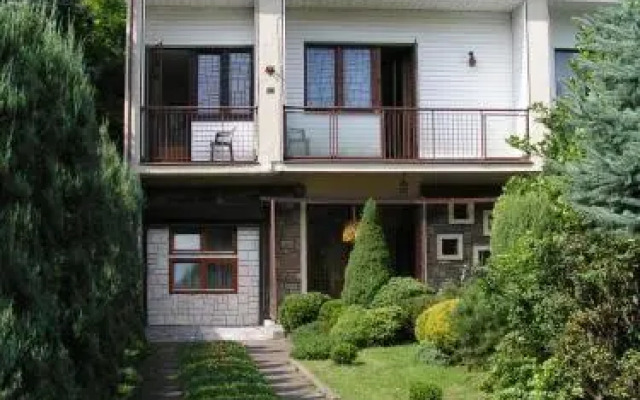 Elephant On The Moon