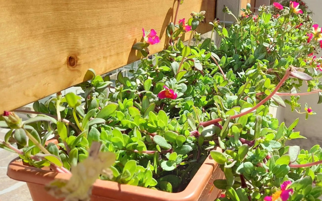 Ramzam - Spacious & Modern 3 bedroom apartment with roof terrace