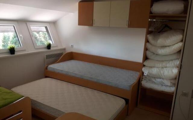 Apartma David Rogla