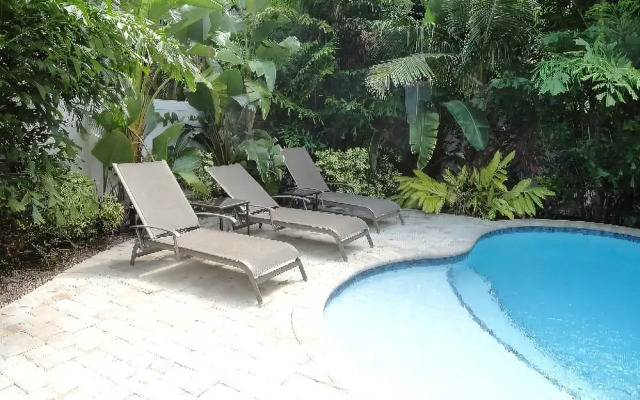 Sand Dollar by RedAwning