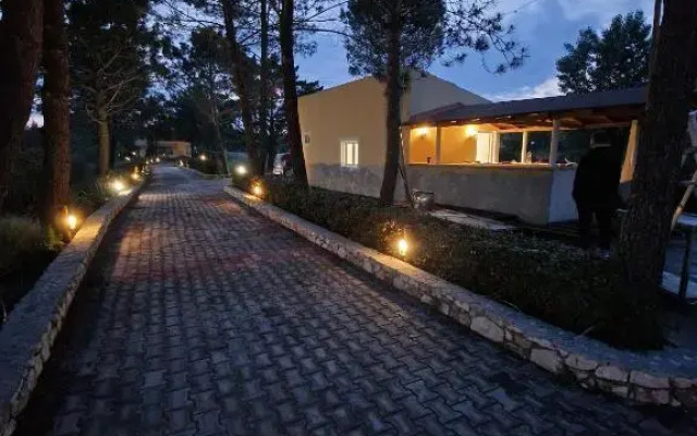 Alexandra Apartment 9