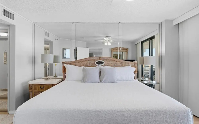 Sand Dollar 501