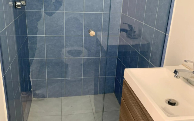 Rooftop Penthouse Lamartine Polanco