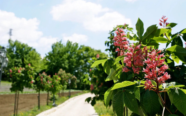 La Pampa Relais & Spa