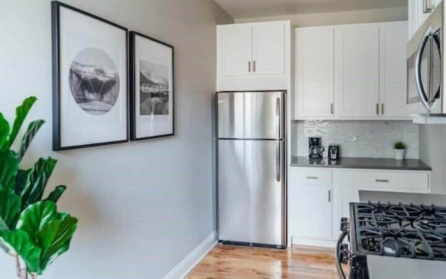 Newly Decorated 1BR 1BA Apt in Lake View