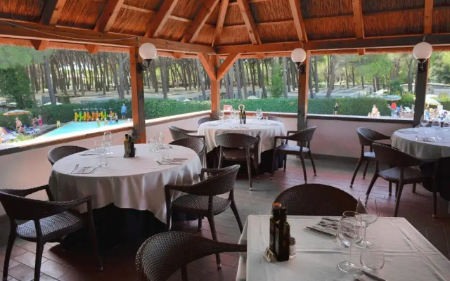 Happy Camp mobile homes in Camping Free Beach