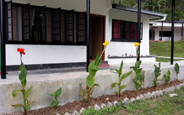 Farm Guest House - Hostel