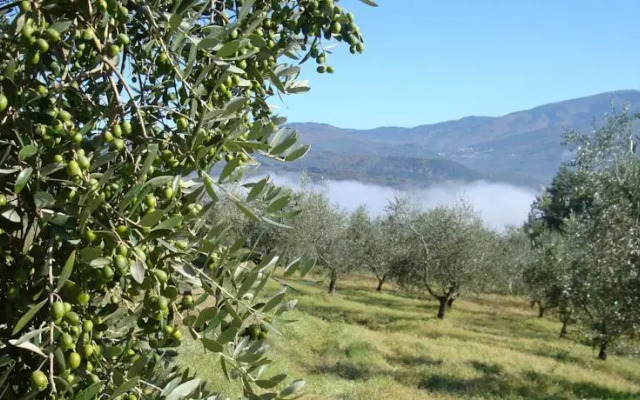 Casa Vacanze La Favilletta