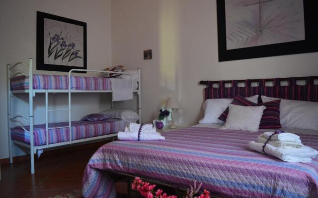 B&B Antico Frantoio