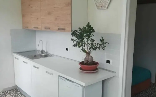 Marta House 2