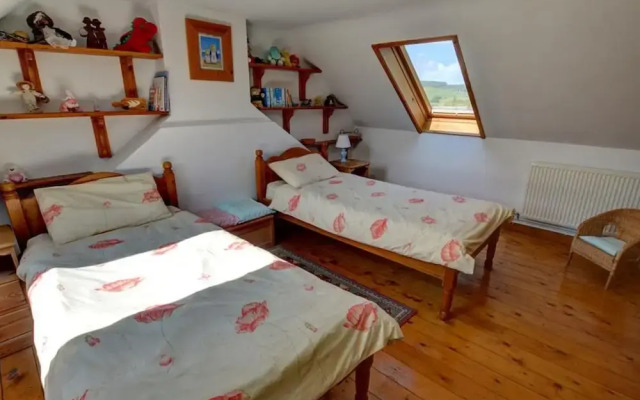 Spacious Holiday Home in Rosebush With Garden