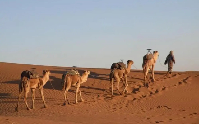Bivouac Karim Sahara