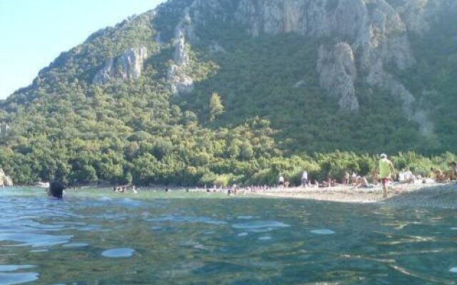 Acar Pension